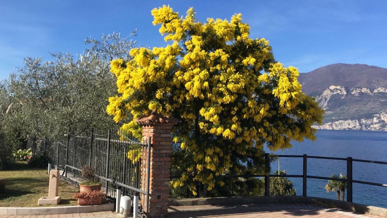 La Virgola Apartments Brenzone sul Garda Ngoại thất bức ảnh